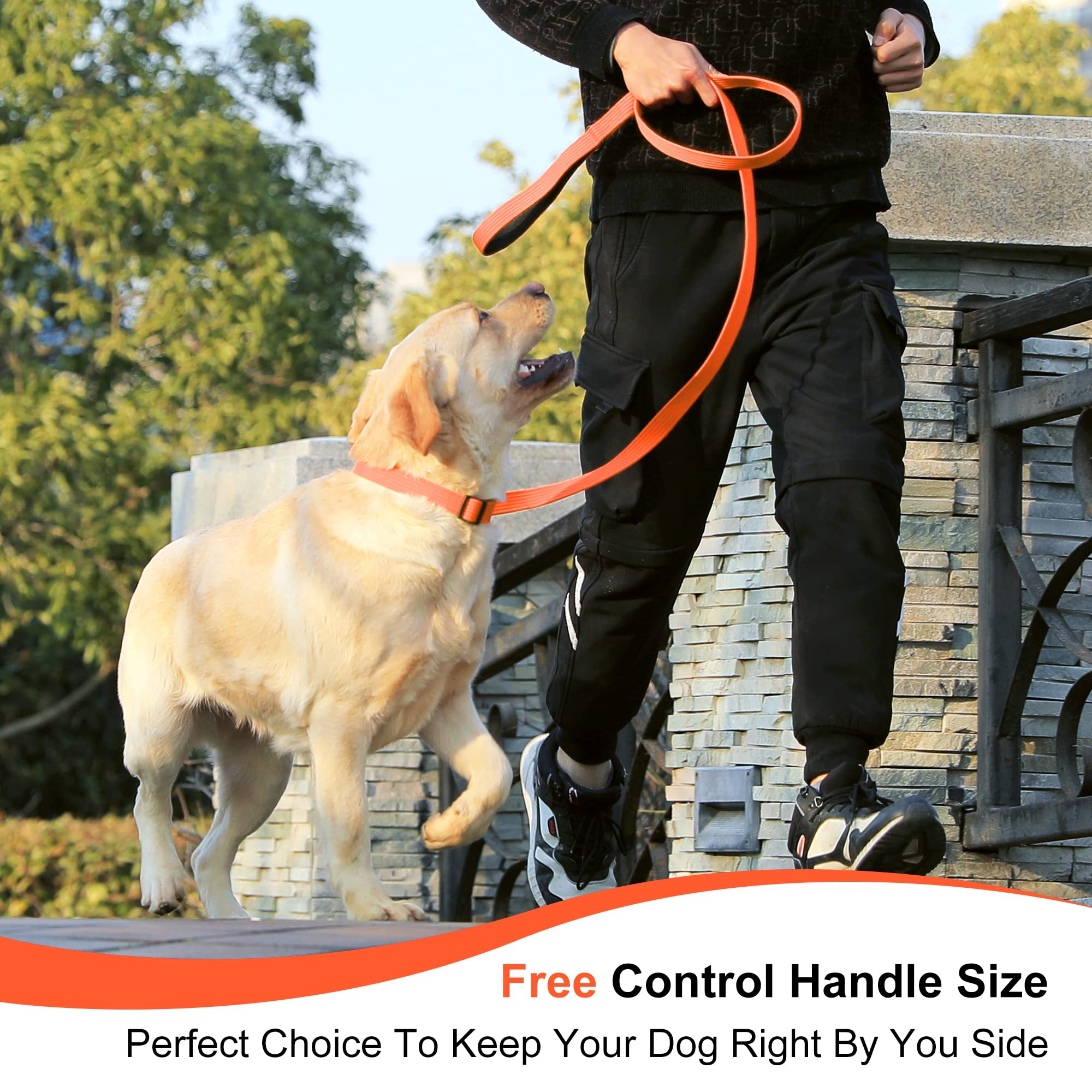 **LynxKing 2FT Heavy Duty Nylon Dog Leash for Large, Medium & Small Dogs - Durable Short Leash with D Ring for Walking, Training & Puppy Control - Perfect for Outdoor Adventures, Park Visits & Obedience Classes**