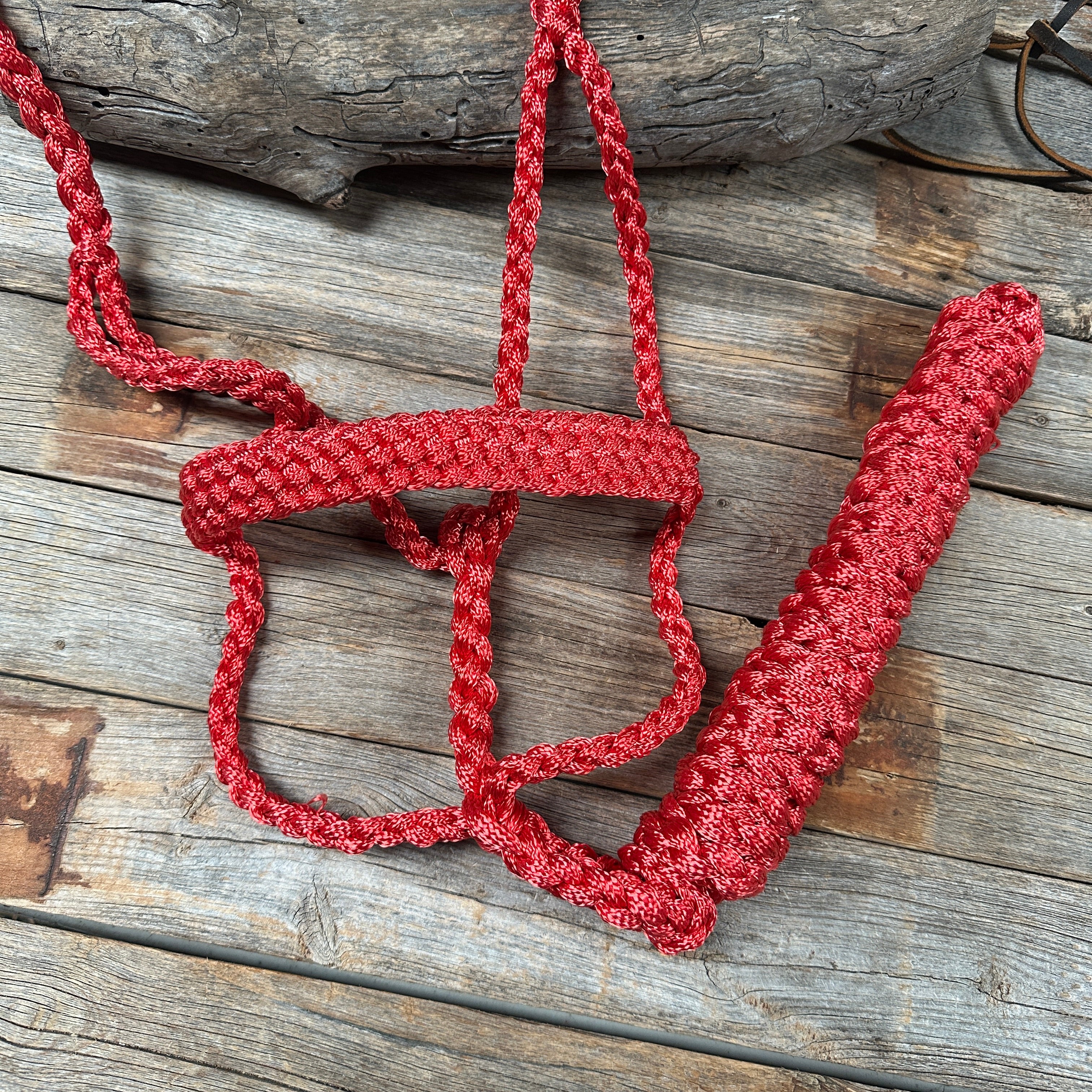 Premium Red Mule Tape Halter - Durable & Adjustable Horse Headcollar for Training, Grooming & Show | Perfect for Equestrian Riders & Stable Use