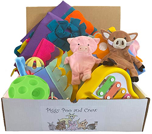 Pig Box Pet Toy Gift Set - Fun Chew Toys for Dogs & Puppies - Perfect for Playtime, Training, and Birthday Gifts