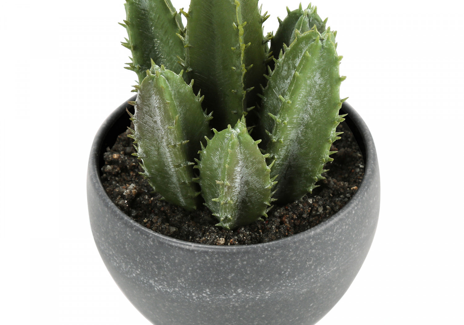 6 Pack Succulent Plants in Grey Pots - Set of 3 Live Indoor Houseplants for Home Decor, Office Desk, or Gift