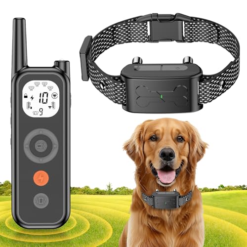 Upgraded Black For 1 Dogs