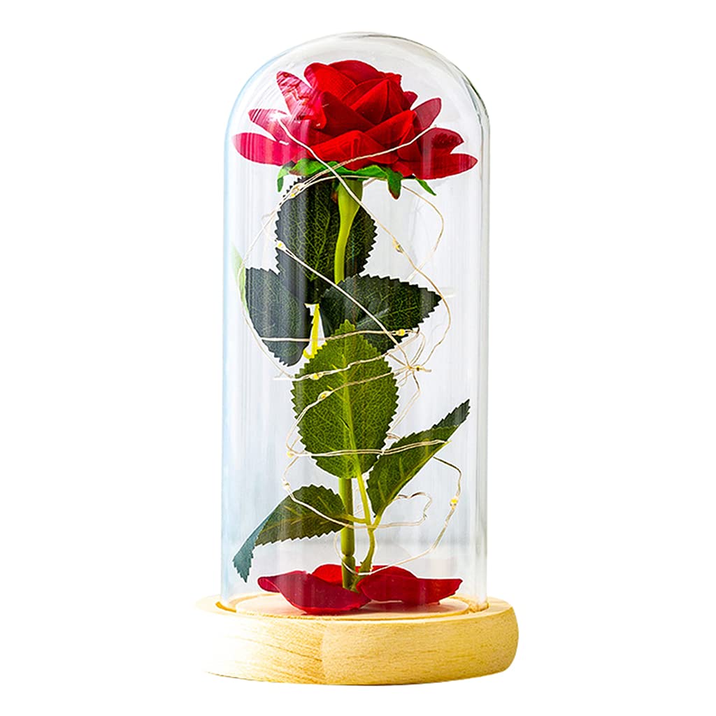 Eternal Rose in Glass Dome with LED Lights - Premium Preserved Real Rose Gift for Women, Birthday, Anniversary, Valentine's Day, Christmas | Romantic Home Decor, Wedding Centerpiece, Luxury Gift Box