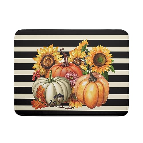 Sunflower and Pumpkin230807
