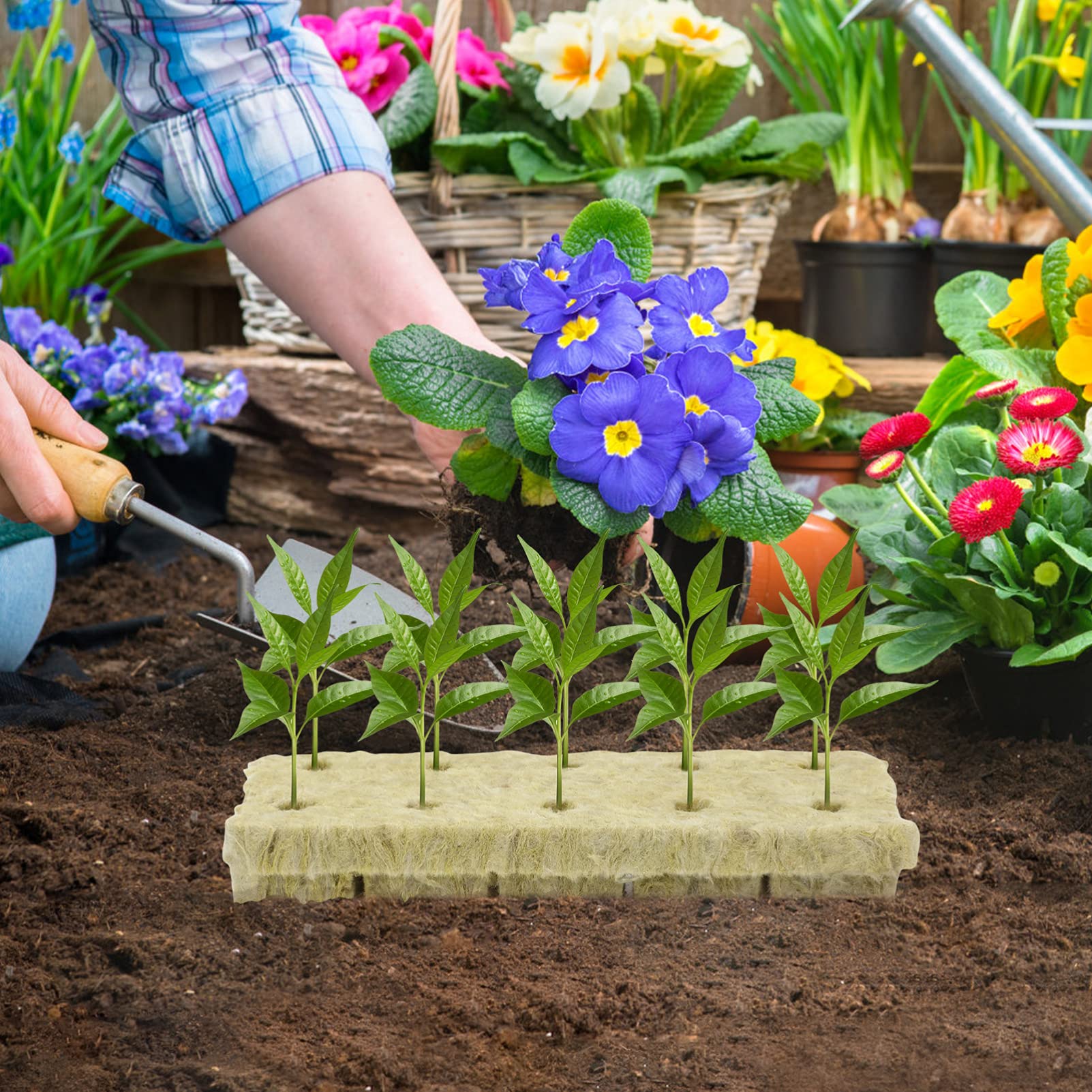 18 Pcs Hydroponic Grow Plugs - Soilless Starter Cubes for Plants | Wool Block Grow Medium for Hydroponics & Macro Plant Cultivation | Perfect for Indoor Gardening, Seed Starting & Hydroponic Systems