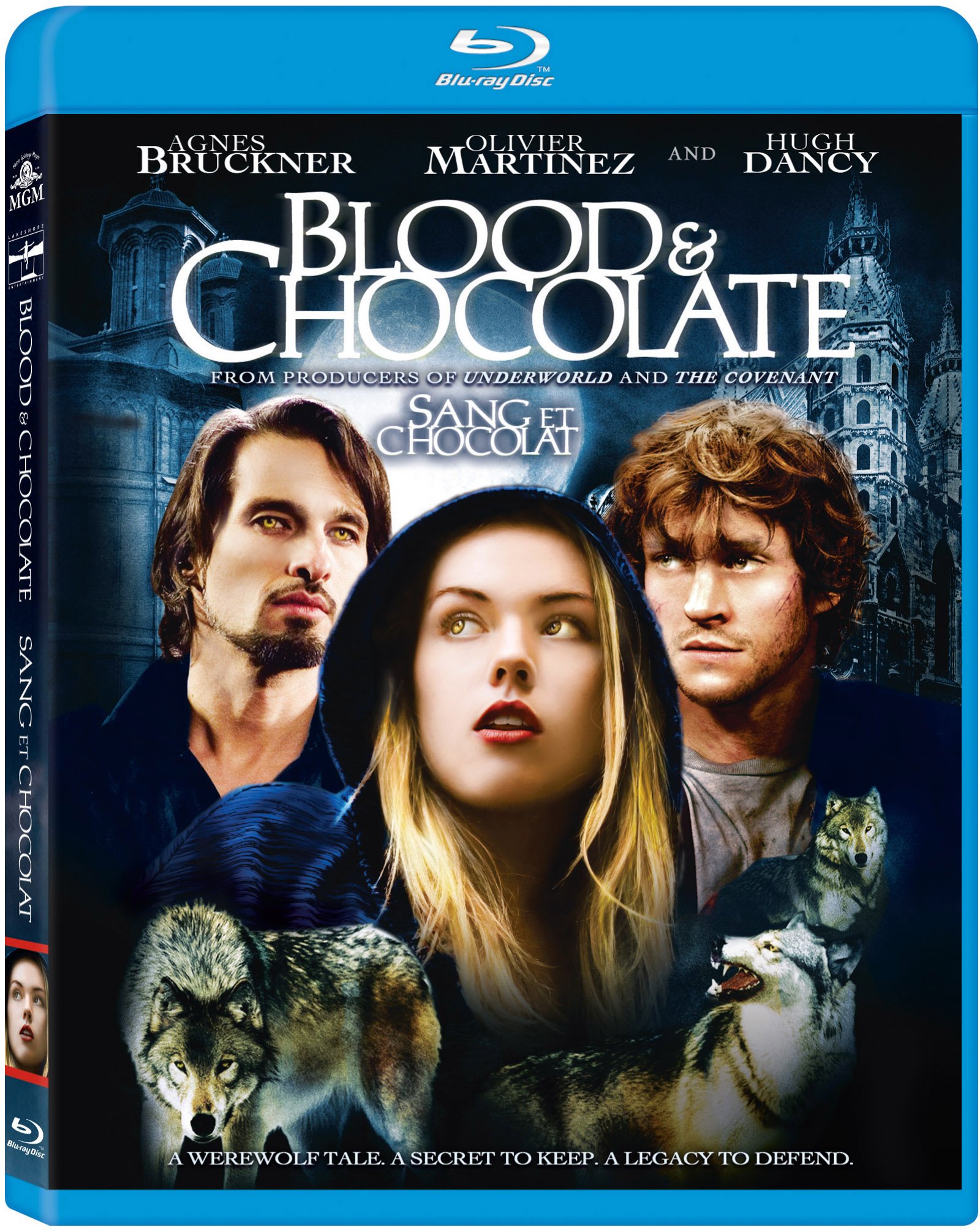 Blood and Chocolate - Dark Romance Novel for Book Lovers