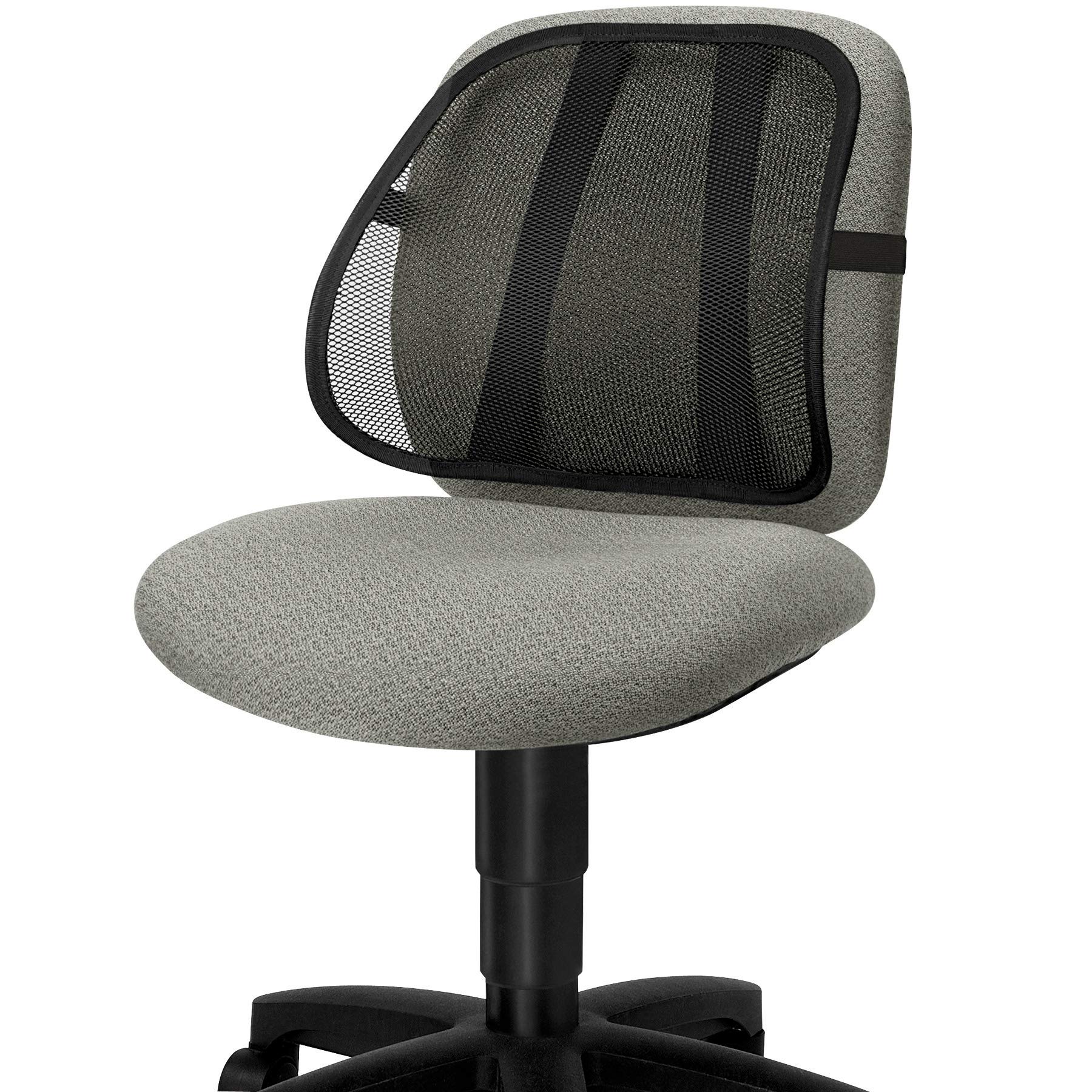Fellowes 8036501 Mesh Back Support Ergonomic Office Chair - Adjustable Lumbar Support for Home & Office Workspaces, Perfect for Long Hours Sitting & Back Pain Relief