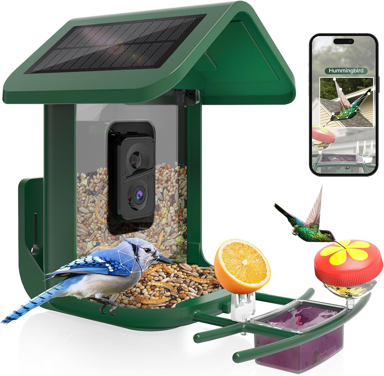 Solar Powered Smart Bird Feeder with 2K Camera - AI Bird Identification, Auto Video Capture, 2.4GHz WiFi - Perfect Backyard Gift for Bird Lovers & Parents (Ideal for Bird Watching, Nature Observation & Outdoor Decor)