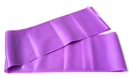 V-Shine Resistance Loop Bands for Women - Elastic Exercise Bands Set for Legs, Butt, Thigh & Glute Workout - Includes Free Carrying Bag (Purple) - Perfect for Home Gym, Yoga, Pilates & Strength Training