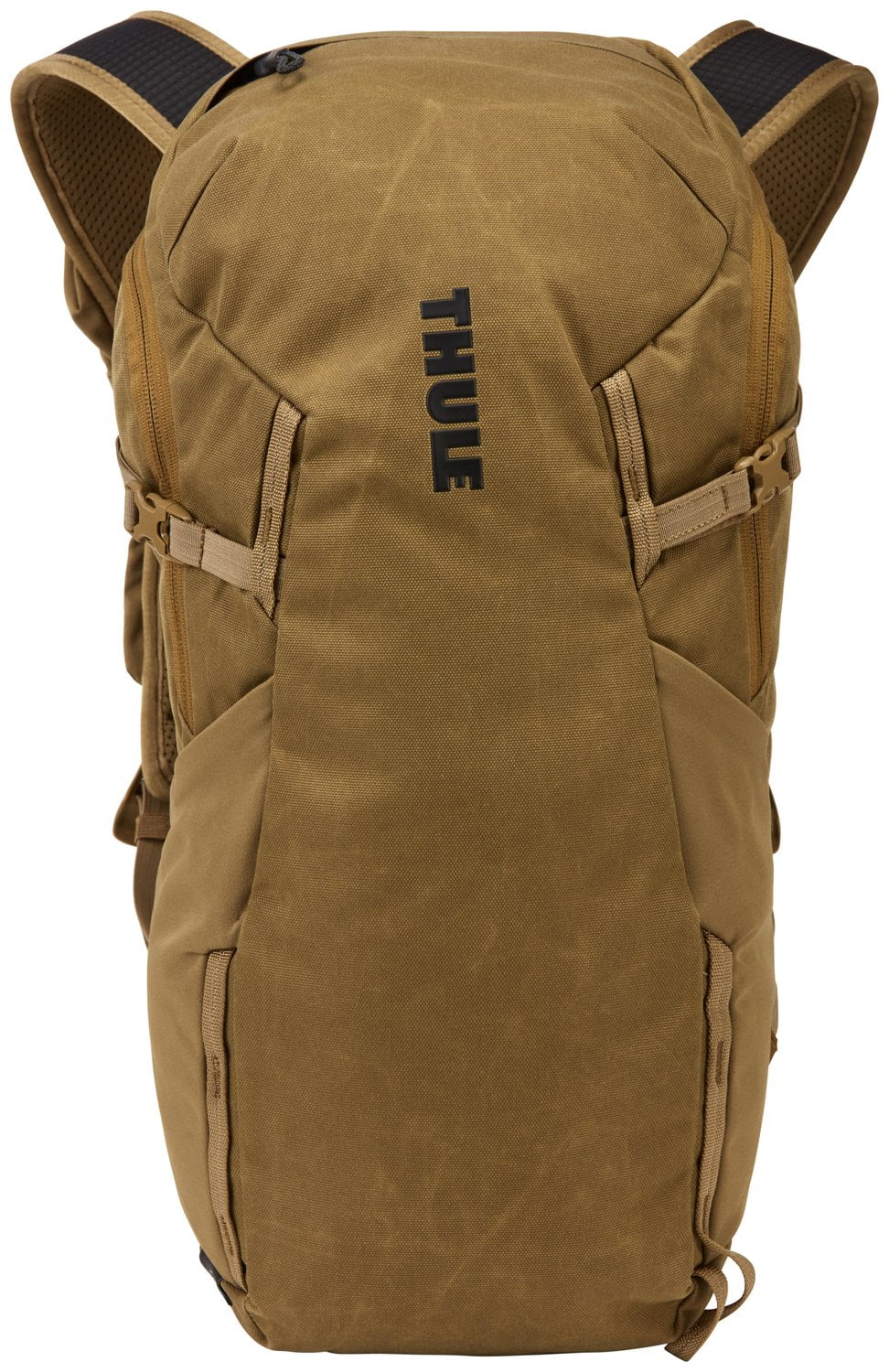Nutria Brown