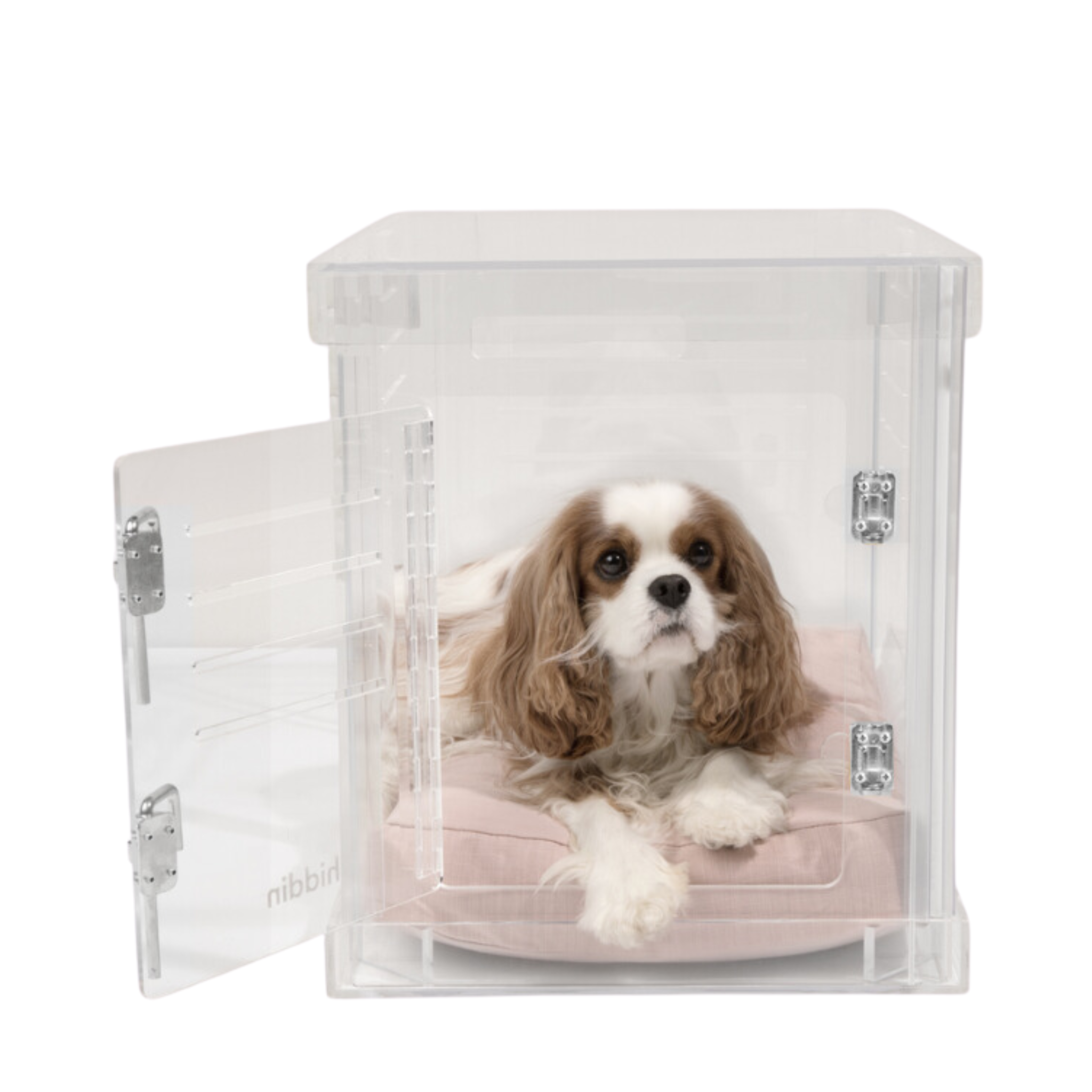 Clear Plastic Dog Crate with Removable Gate - Portable Pet Carrier for Small to Medium Dogs - Perfect for Travel, Training & Home Use