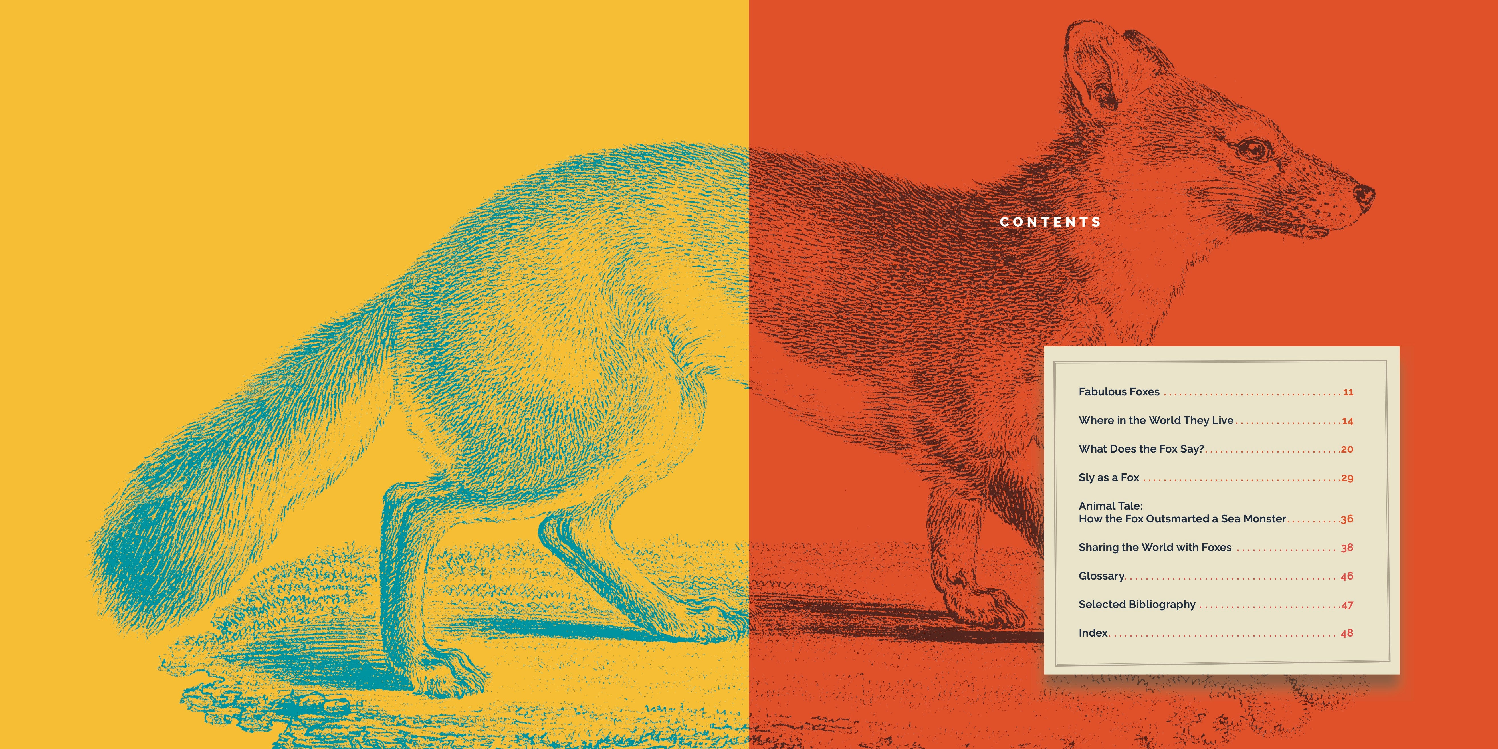 Foxes Book 9781640267824 - Wildlife Nature Guide for Animal Lovers & Outdoor Enthusiasts | Perfect for Camping, Hiking & Nature Exploration