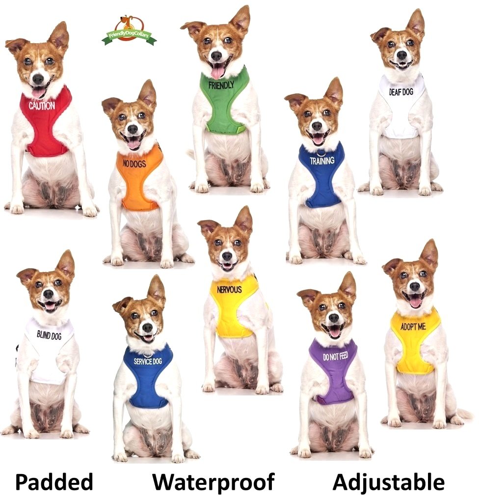 White Color-Coded Deaf Dog Harness L-XL - Non-Pull Safety Vest for Hearing Impaired Dogs | Prevent Accidents & Alert Others | Perfect for Walks, Parks & Public Spaces