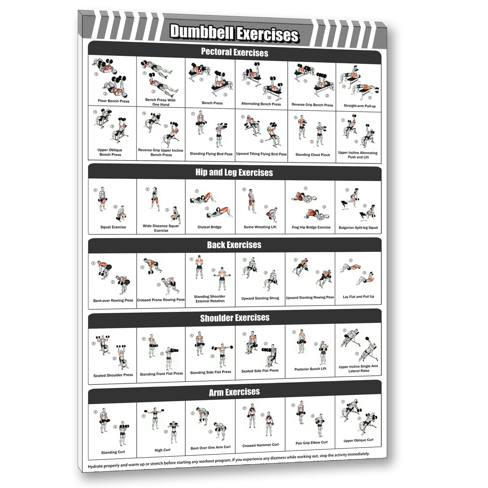 Gym Dumbbell Workout Poster for Men & Women - 24x36 Inch Framed Exercise Chart - Home Fitness Training Guide & Wall Decor - Perfect for Home Gym, Garage Workouts & Personal Training Studios