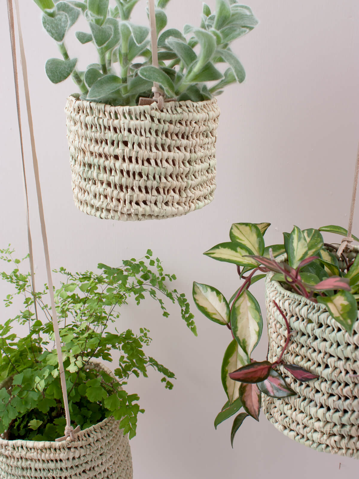 Open Weave Hanging Baskets for Plants - Breathable Wall Mounted Planters for Indoor & Outdoor Decor - Perfect for Herbs, Flowers, and Small Plants in Home, Garden, or Patio