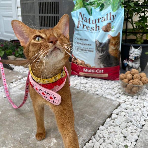 Naturally Fresh Multi Cat Natural Cat Litter - Odor Control, Clumping & Eco-Friendly - Perfect for Multi-Cat Households & Small Spaces