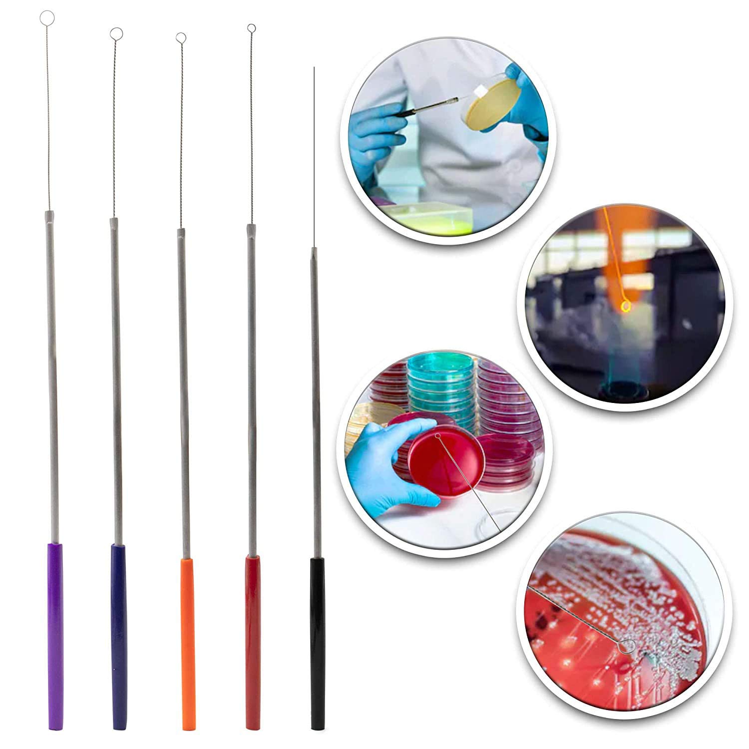 Sterile Reusable Inoculating Loops & Needles Set - Color-Coded Ergonomic Handles for Easy Size Identification - Essential Lab Tools for Bacteria Culturing, Cell Streaking & Tissue Culture | Perfect for Microbiology Labs, Research & Clinical Diagnostics