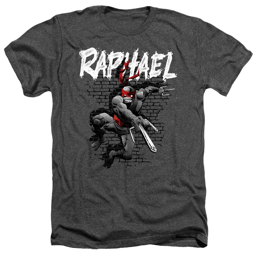 LOGOVISION TMNT Teenage Mutant Ninja Turtles Artist Collection Unisex Adult Heather T-Shirt | Cool Graphic Tee for Fans | Perfect for Casual Wear, Cosplay & Gifts