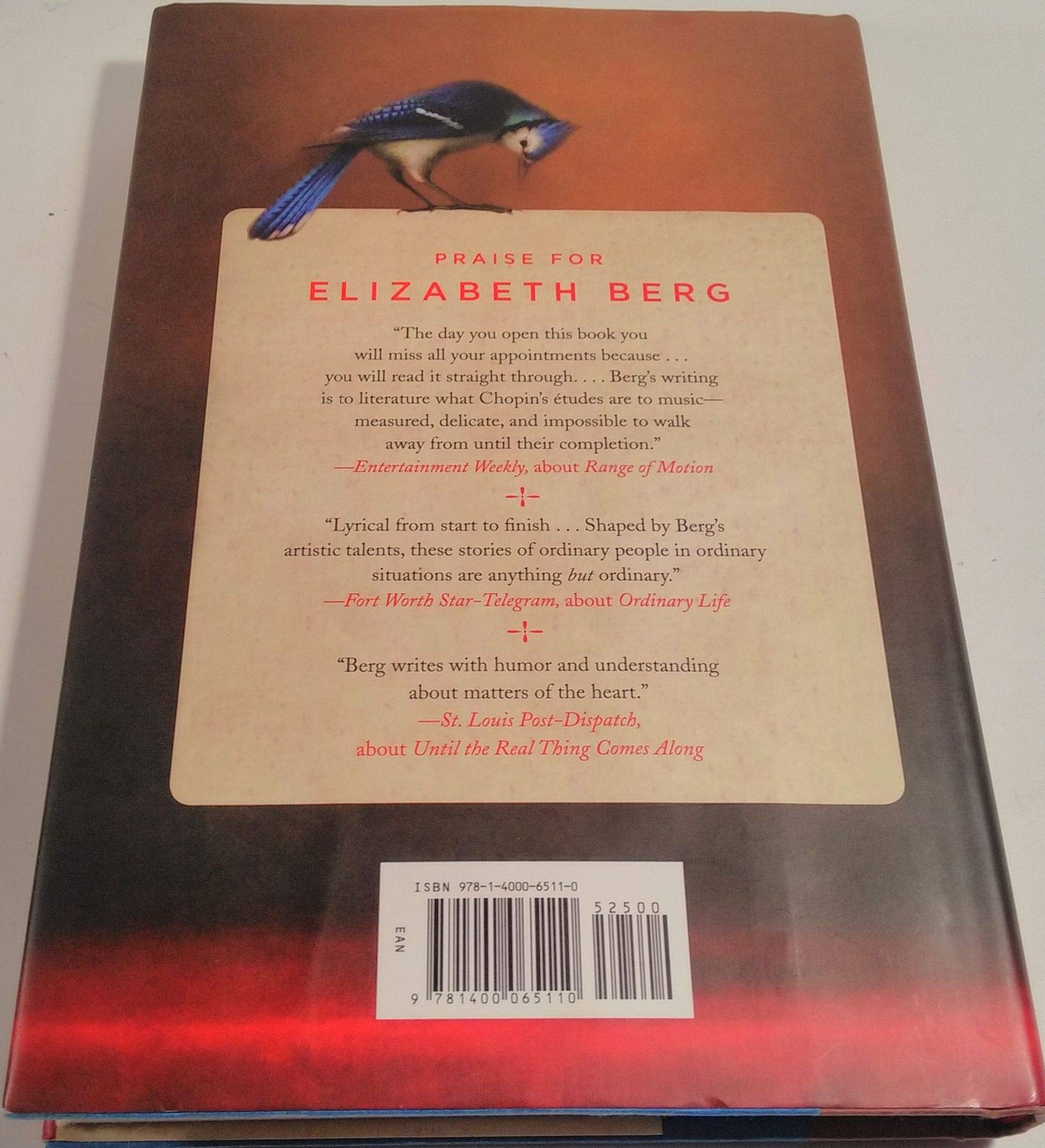Home Safe: A Novel - Heartwarming Family Story for Book Clubs & Cozy Reading Evenings | Perfect Gift for Literature Lovers
