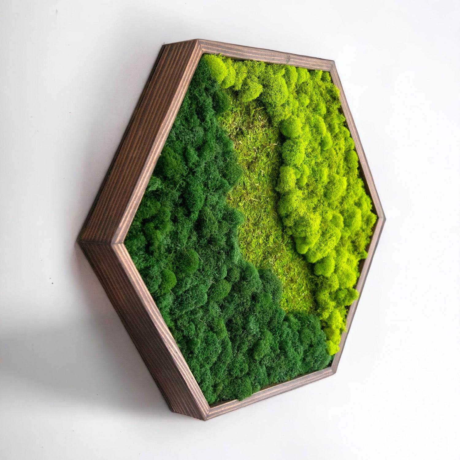 Hexagon Moss Wall Art Frame - Natural Green Preserved Moss Decor for Home & Office - Perfect for Living Room, Bedroom, or Office Wall Decor