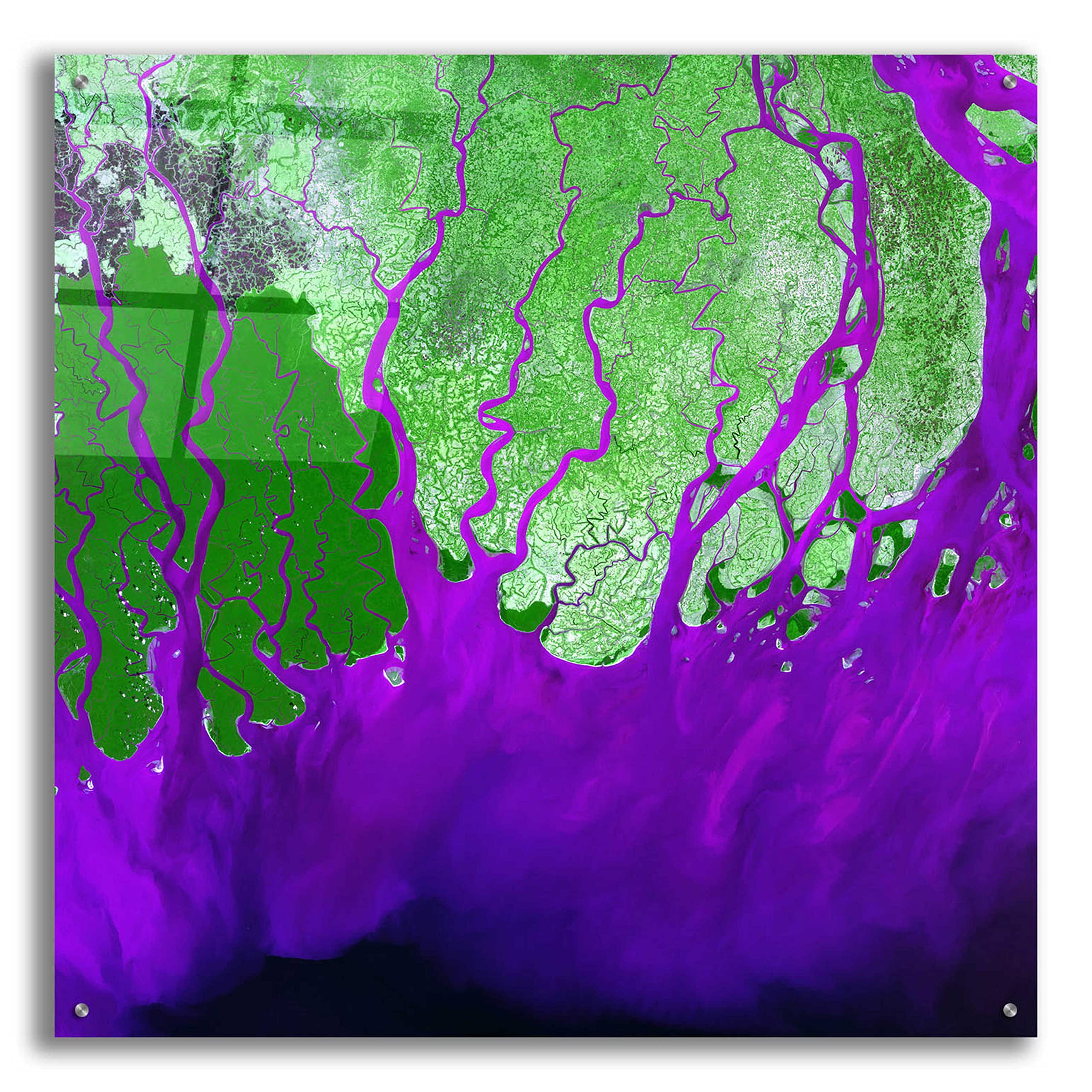 Epic 'Earth as Art: Ganges River Delta' Acrylic Glass Wall Art Print - 36x36 Inches Modern Home Decor for Living Room, Bedroom & Office