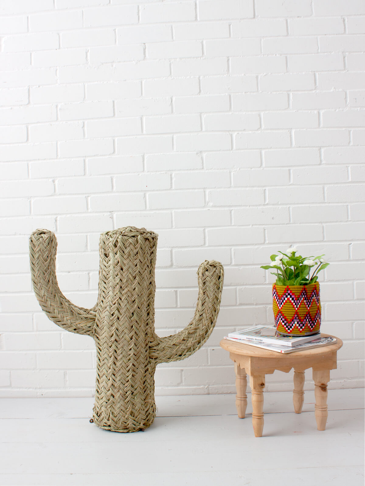 Halfah Grass Cactus - Natural Decorative Plant for Home, Office & Garden | Perfect for Indoor Succulent Arrangements & Desert Landscaping