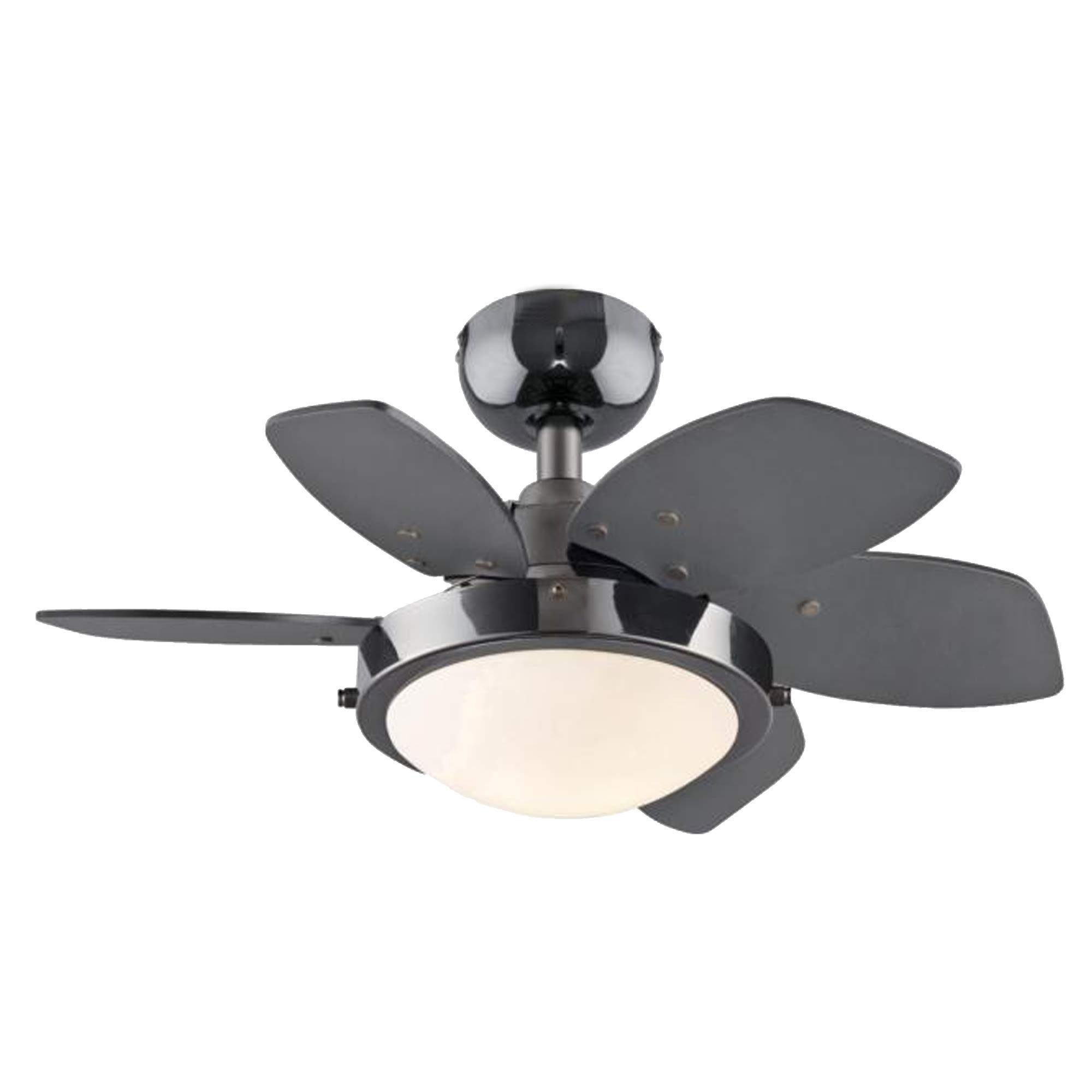 24-Inch Ciata Small Ceiling Fan with Dimmable LED Light - Gun Metal Finish, Reversible Black/Graphite Blades & Frosted Glass Shade - Perfect for Bedroom, Living Room, and Office Spaces