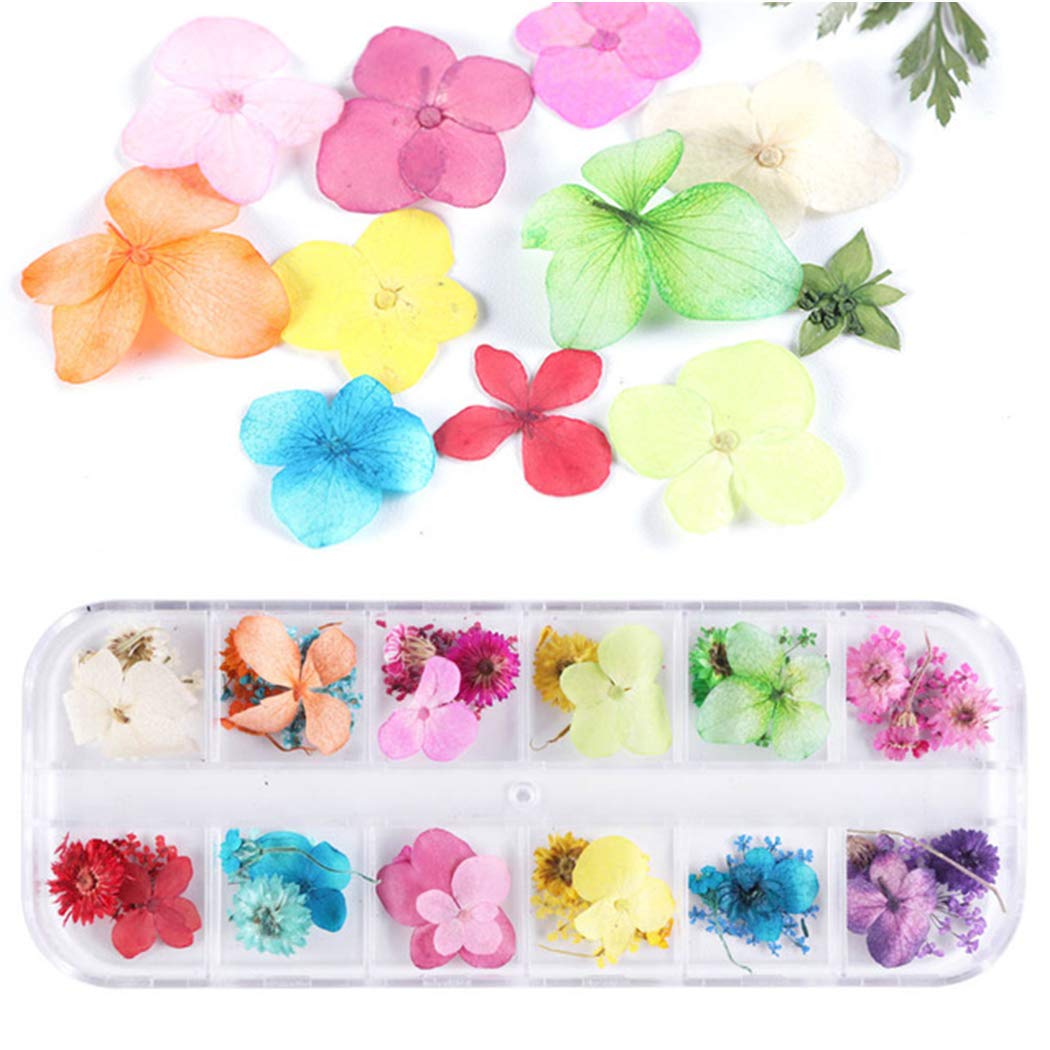 SOWUNO 12-Grid Dried Flower Nail Art Kit - Creative Nail Decoration with Assorted Dried Flowers for DIY Nail Designs - Perfect for Home, Salon & Party Nail Art