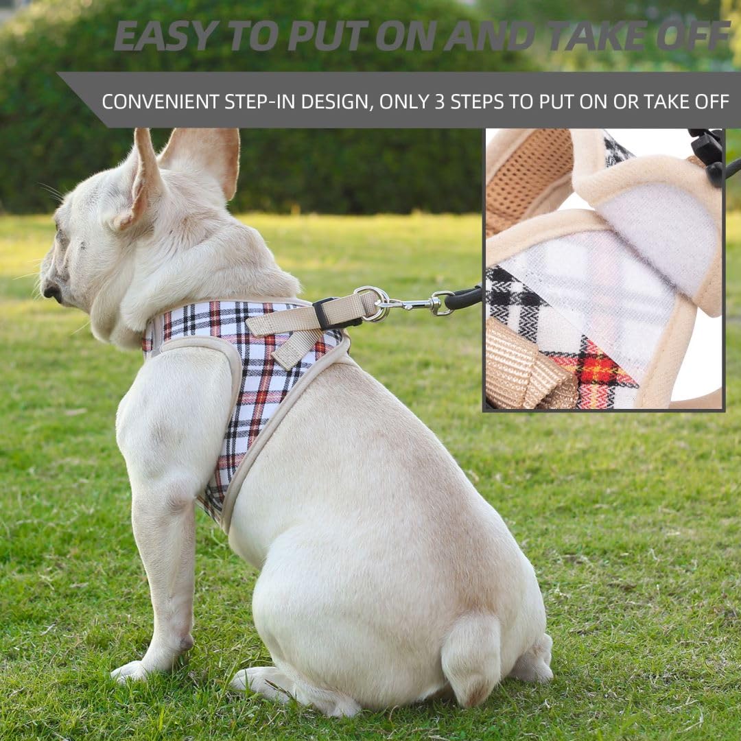 **No Pull Dog Harness for Small Dogs - Breathable Mesh Vest Harness with Adjustable Leash Set | Lightweight & Easy to Use for Small & Medium Dogs | Perfect for Walking, Training & Outdoor Adventures**