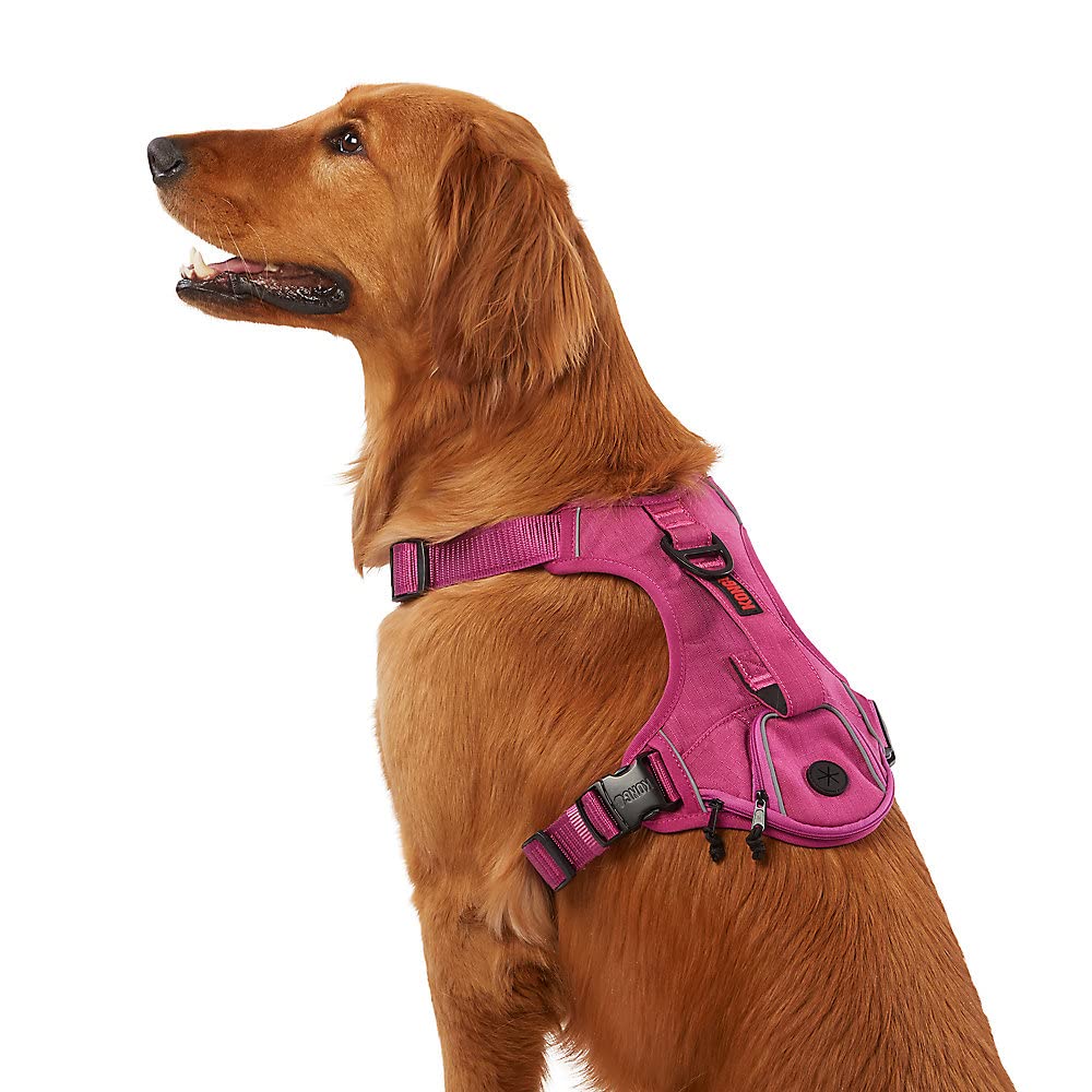 KONG Ultra Durable Dog Waste Bag Harness - Large Pink Hands-Free Poop Bag Holder for Walking, Hiking & Outdoor Activities with Your Pet