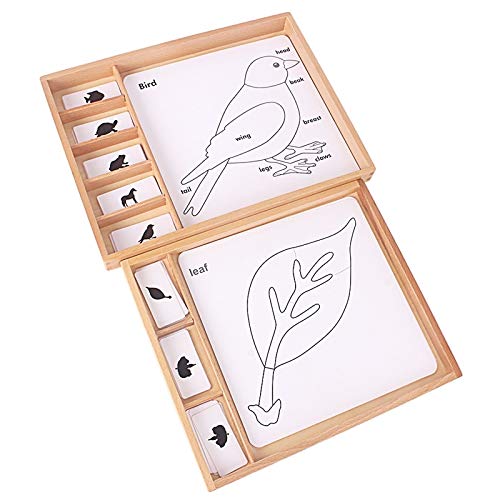 Montessori Botany Puzzles for Kids - Science Learning Toys with Plants & Animals Cards, PVC Wood Box - Educational English Games for Children | Perfect for Homeschooling & Preschool STEM Activities