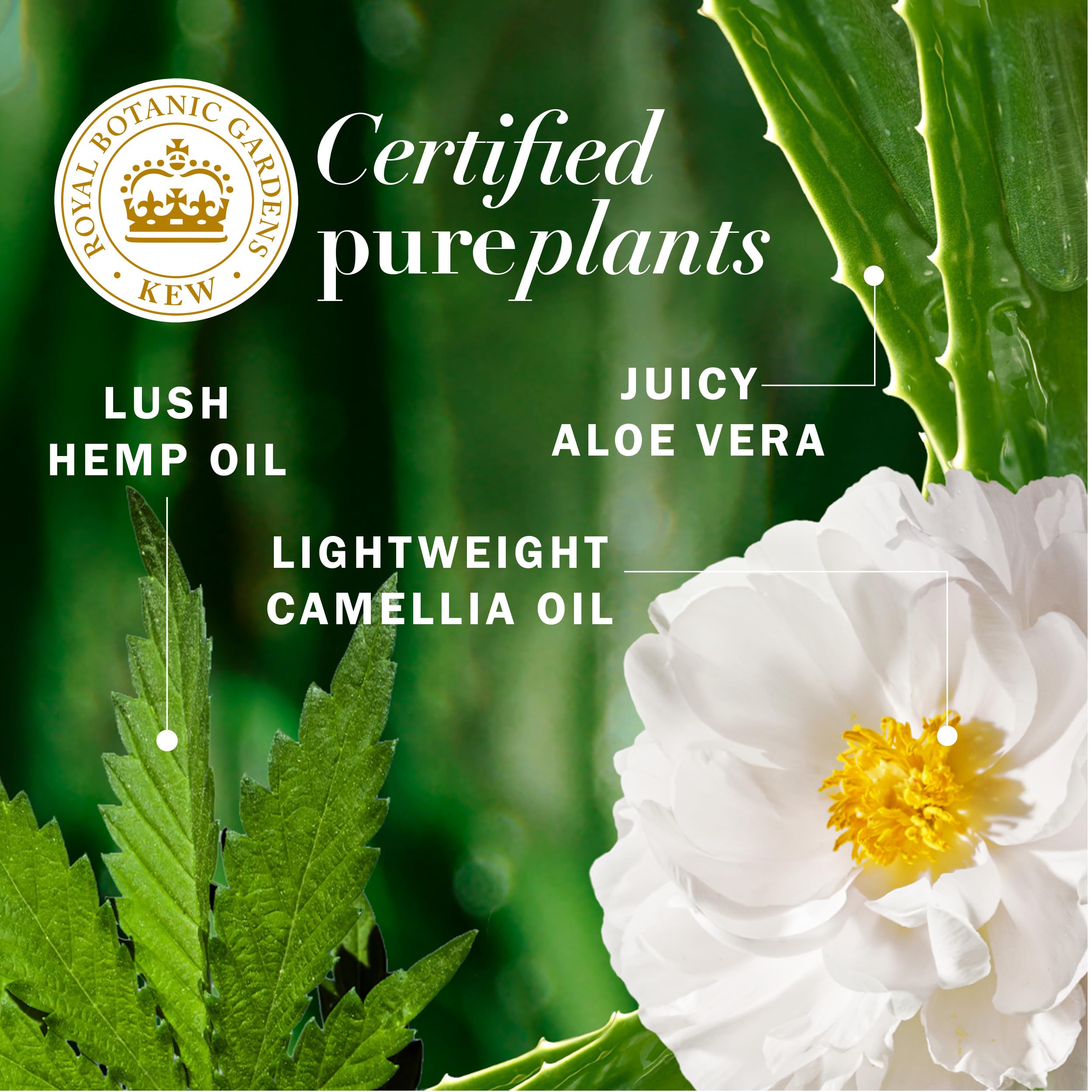 Herbal Essences bio:renew Hemp & Potent Aloe Conditioner for Frizz Control - 13.5 Fl Oz Hydrating Hair Treatment | Smooth & Nourish Dry, Damaged Hair - Perfect for Daily Use & Post-Color Care