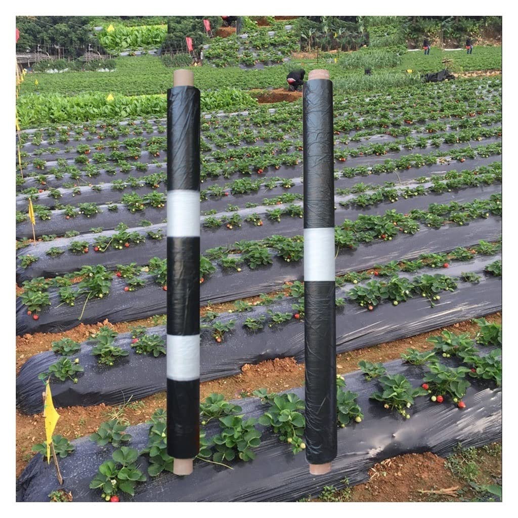 Premium Black PE Plastic Mulch Film for Agricultural Greenhouse, Garden & Fruit Trees - Weed Control, Warmth & Waterproof (60cm Wide x 0.8mm Thick x 1000m Long) - Ideal for Crop Protection, Soil Temperature Regulation & Moisture Retention in Farming & Gardening