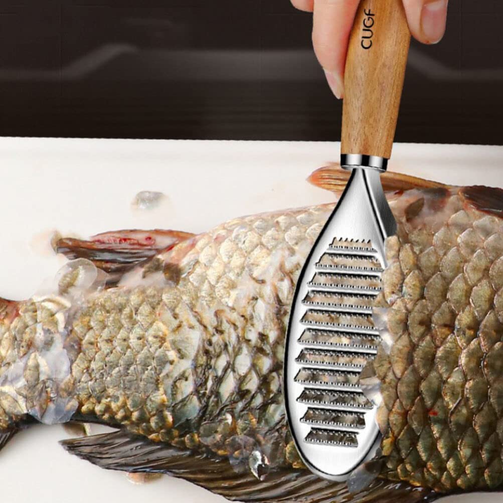 Stainless Steel Fish Scaler Brush - Professional Fish Scale Remover Tool with Sawtooth Design for Kitchen | Perfect for Cleaning Salmon, Tilapia, Bass and More | Essential Kitchen Gadget for Home Cooks & Fishermen