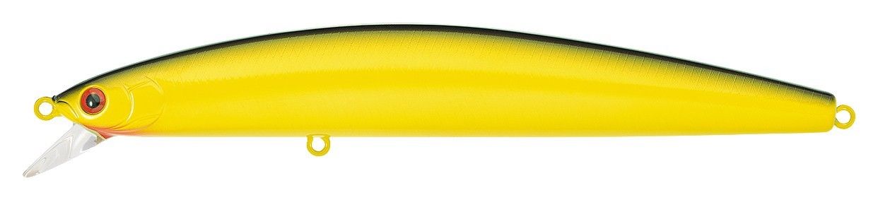 32 - Sand Eel