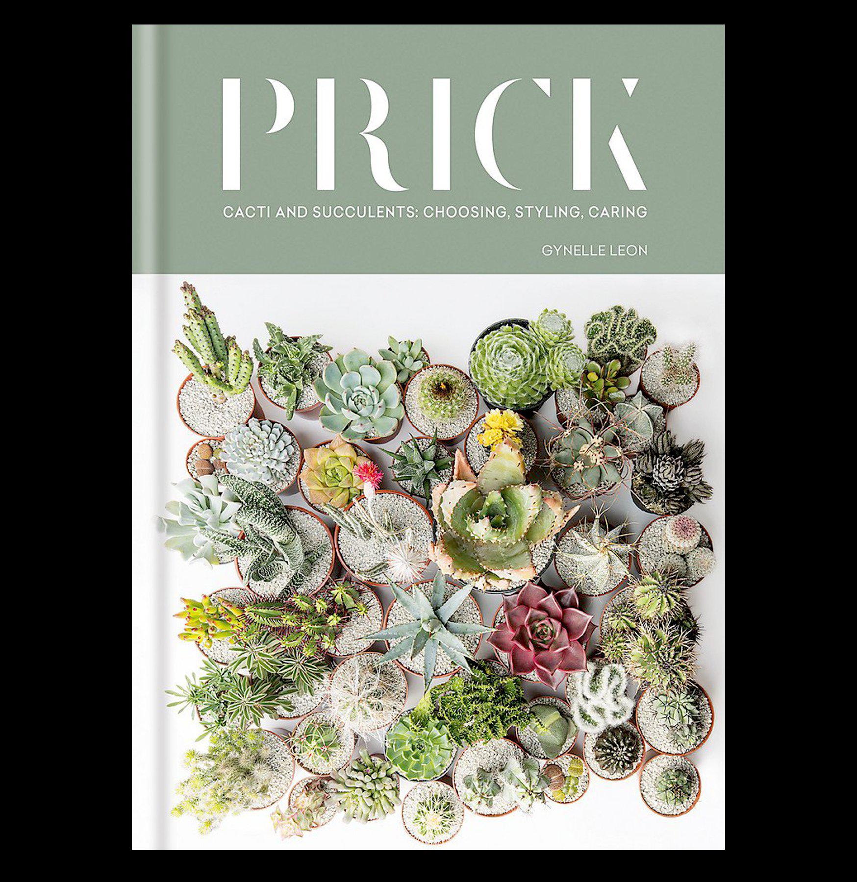 Prick - High-Quality Needle for Medical and Craft Use | Perfect for Acupuncture, Sewing, and DIY Projects
