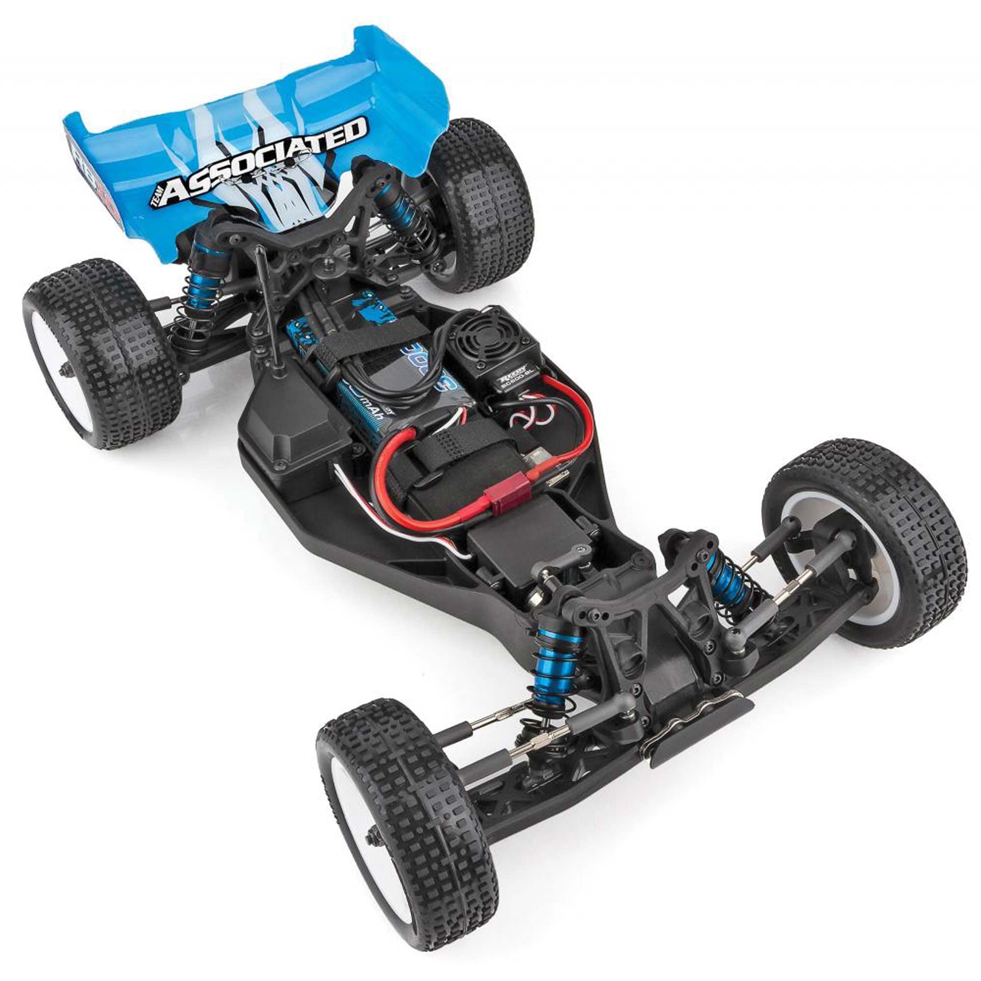 Team Associated 1/10 RB10 2WD RTR Buggy RC Car - Blue (ASC90031) | Ready-to-Run Remote Control Vehicle for Off-Road Racing & Backyard Bashing | Battery & Charger Not Included