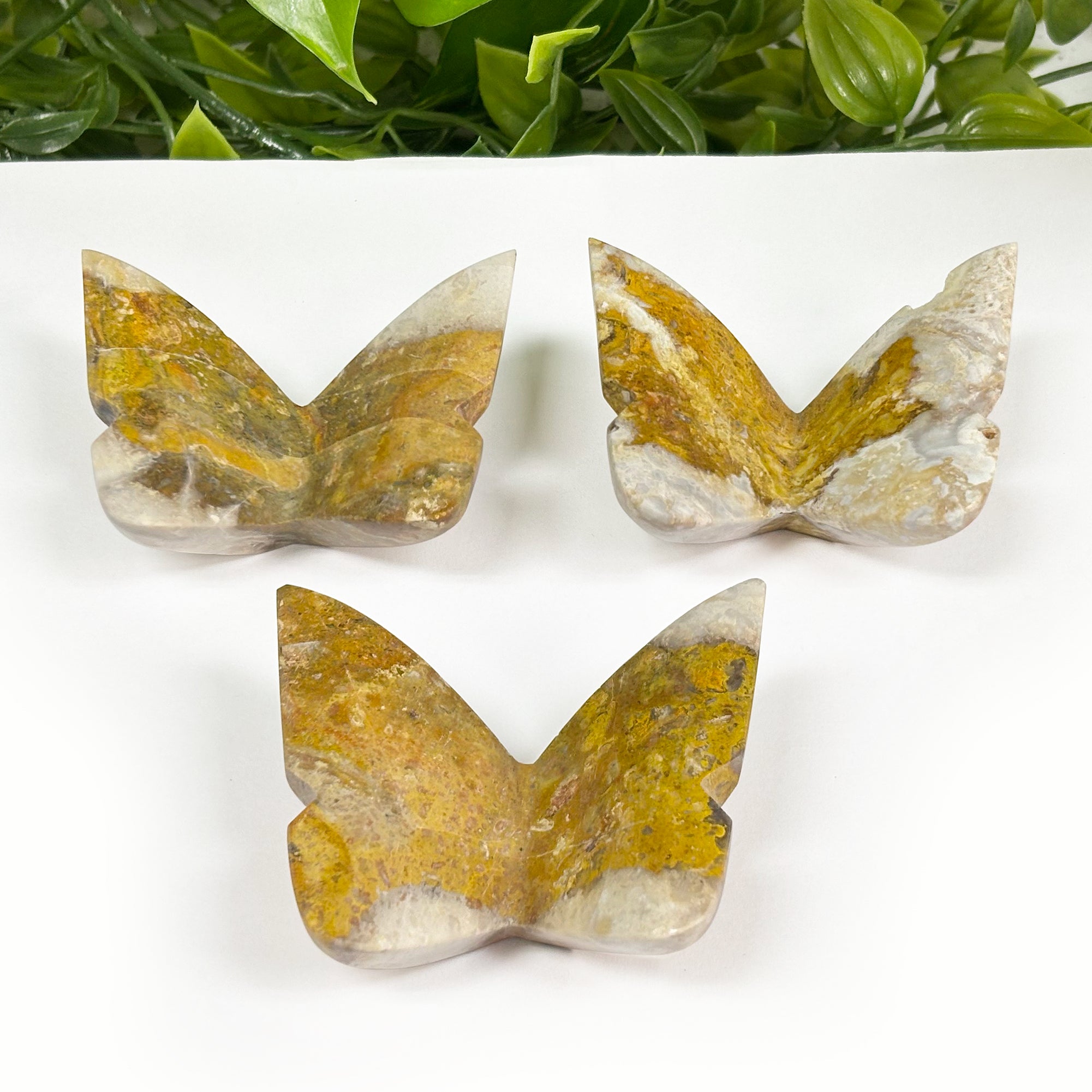 Hand Carved Neo Bumble Bee Jasper Butterfly Wings Pair - Natural Crystal Gemstone Insect Figurine Home Decor - Perfect for Meditation Spaces, Yoga Rooms & Spiritual Gift Giving