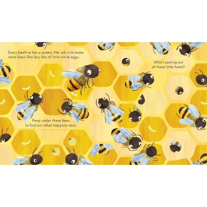 Peep Inside A Beehive - Educational Beehive Observation Kit for Kids & Adults - Perfect for Home, Classroom & Outdoor Nature Exploration