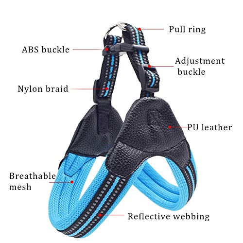 **Breathable Nylon Mesh Reflective Dog Harness & Leash Set - Adjustable Pet Collar for Small Medium Large Dogs - Perfect for Walking, Running, Hiking & Night Safety (Black)**