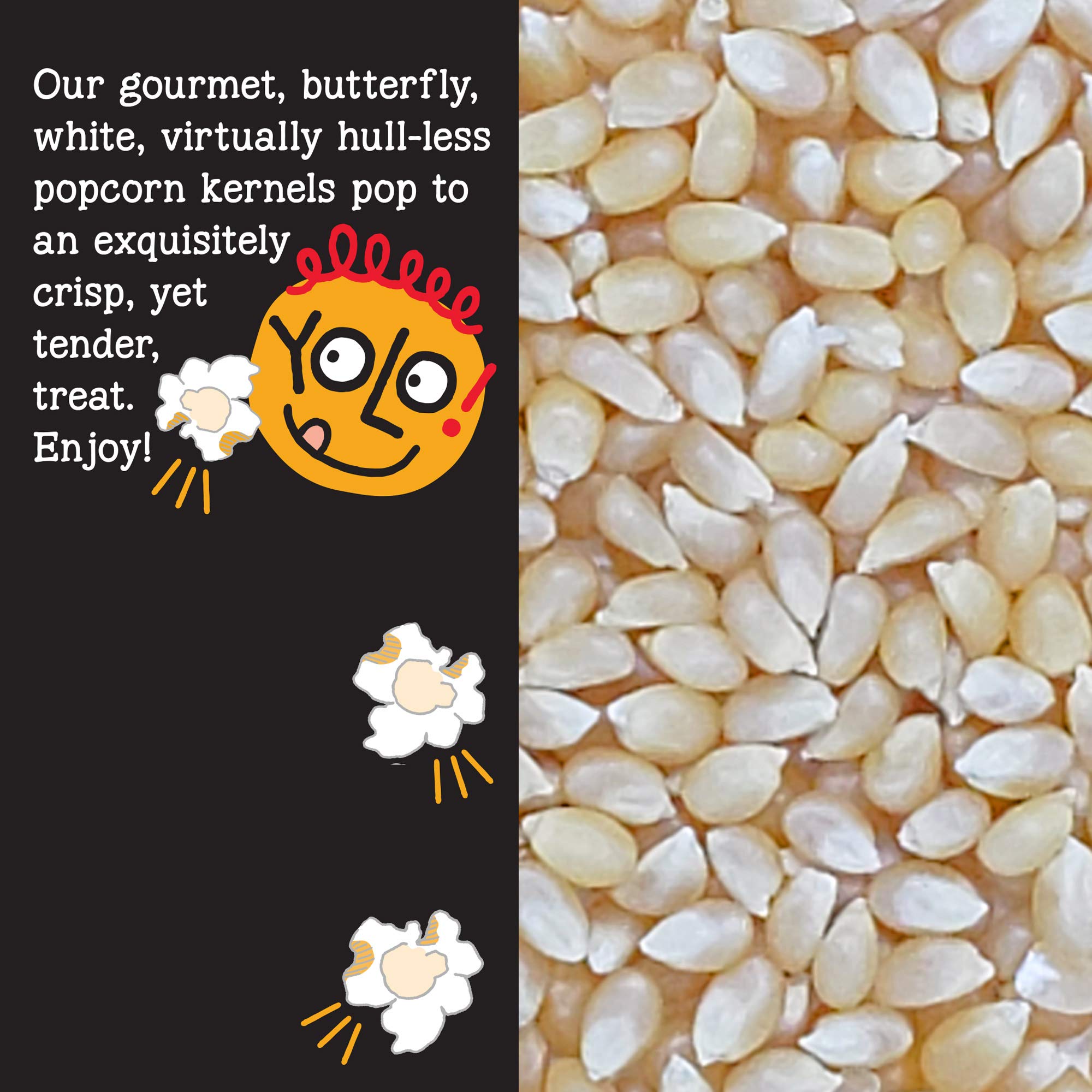 YOLO! Snacks - Premium Non-GMO White Hulless Popcorn Kernels (14oz, 3-Pack) - Small Kernels for Perfect Popping - Ideal for Movie Nights, Parties & Healthy Snacking
