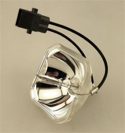 Technical Precision Replacement LAMP for DATASTOR PL-366 Projector TV Bulb - Perfect for Home Theater, Office Presentations & Classroom Projectors