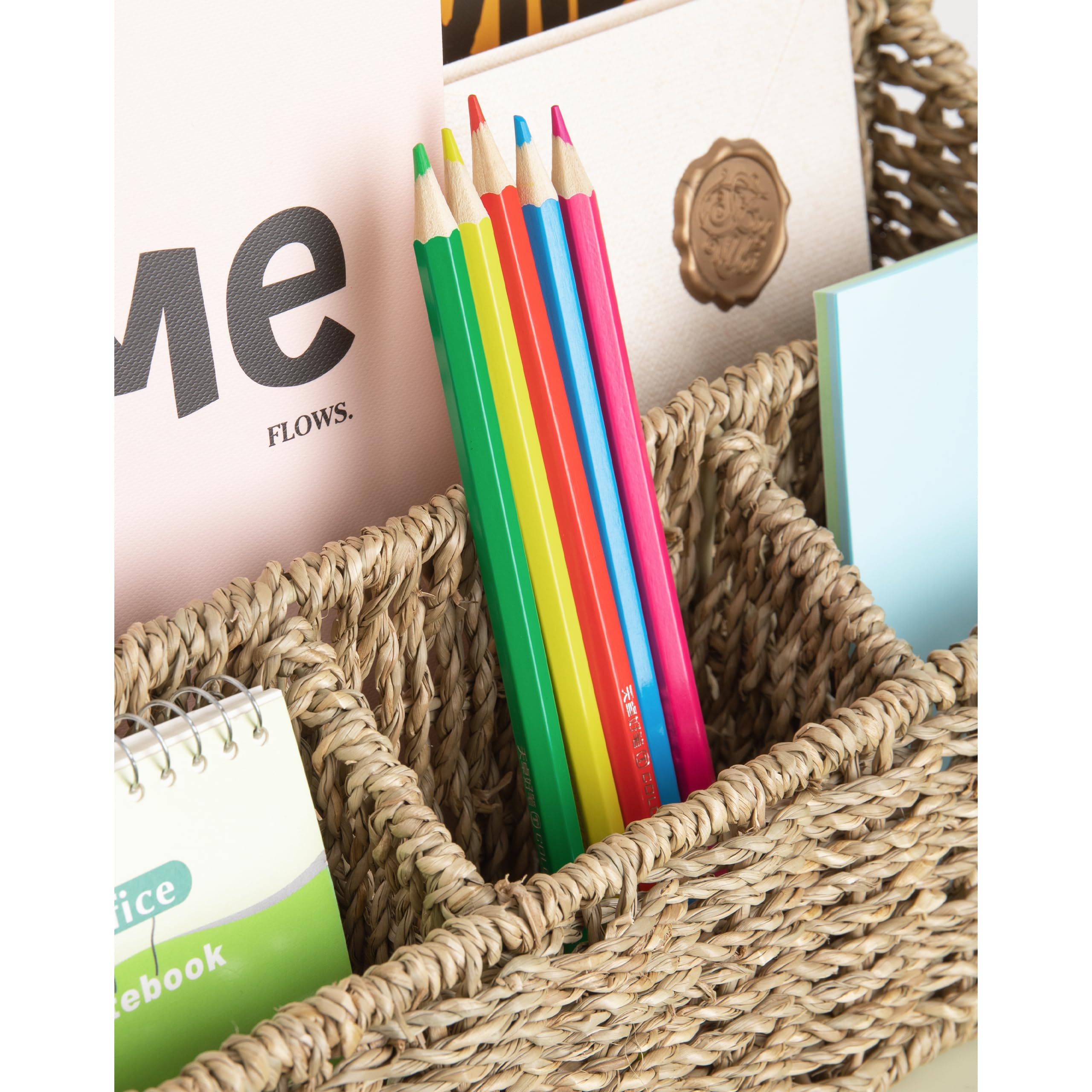 Seagrass Mail Organizer - Desktop Bill Sorter, Magazine File Holder & Pencil Organizer | Perfect for Home Office, Study Desk, and Mail Station Organization