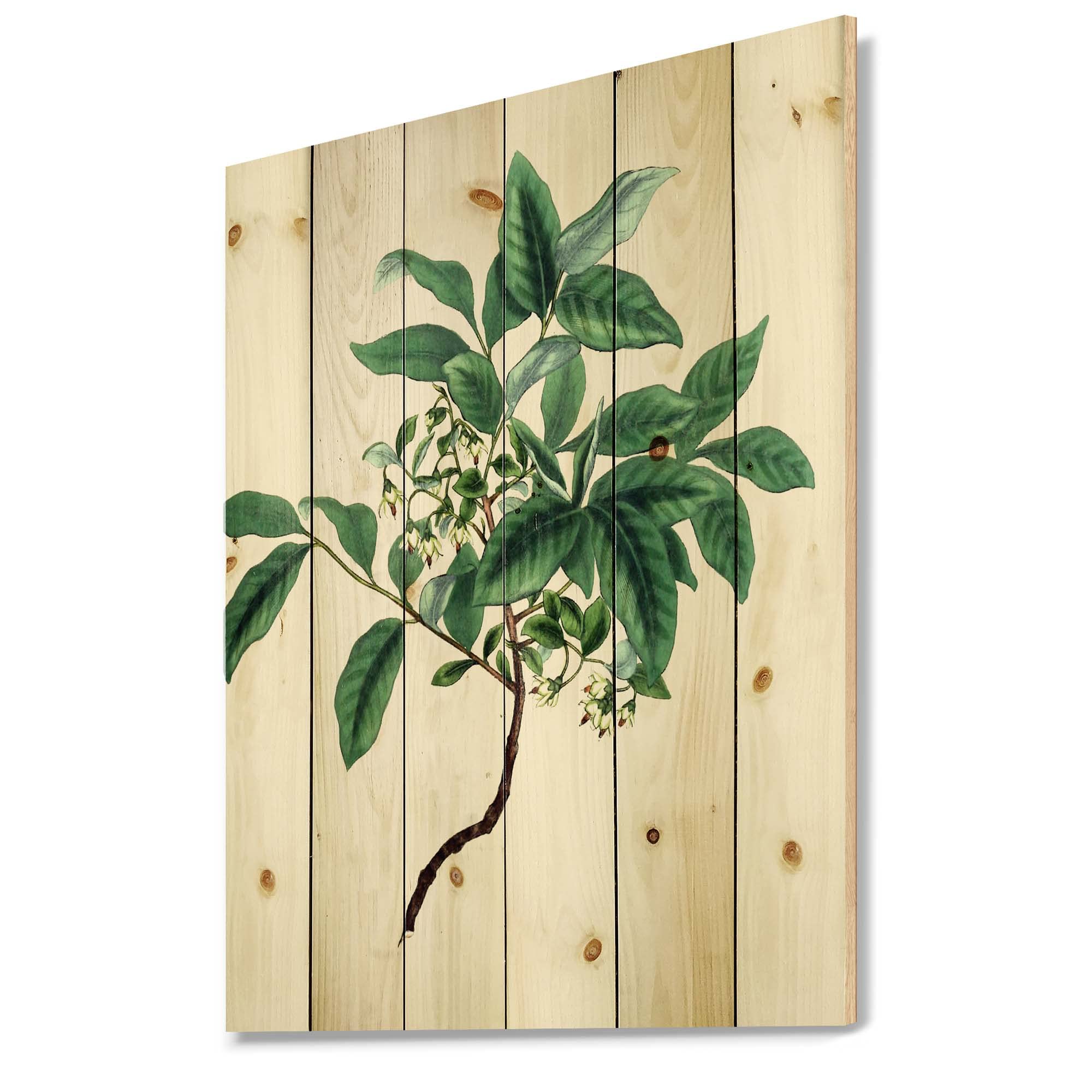 Vintage Green Leaves Botanical Wood Wall Decor - Large Floral Pine Wood Wall Art Panel - Traditional Nature-Inspired Home Decor for Living Room, Bedroom, or Office