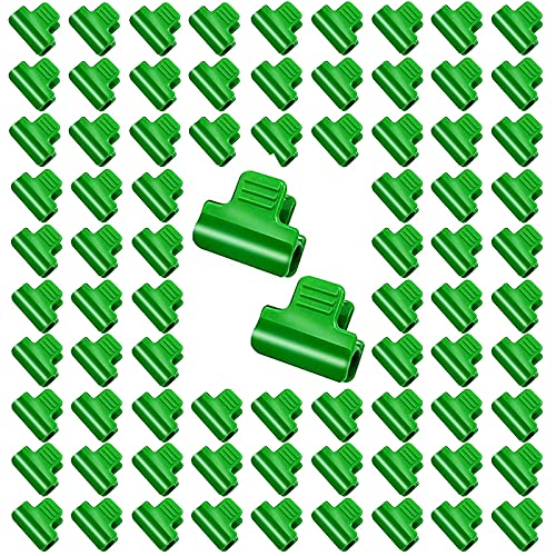 80 Pcs