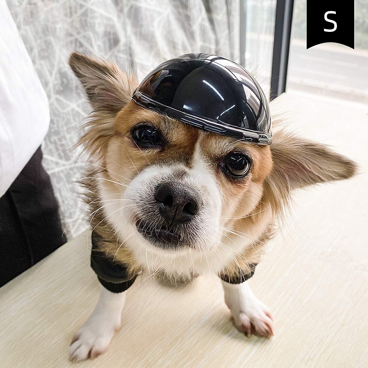 Small Dog Helmet - Adjustable Puppy Crash Helmet for Motorcycle & Bike Riding Safety - Black