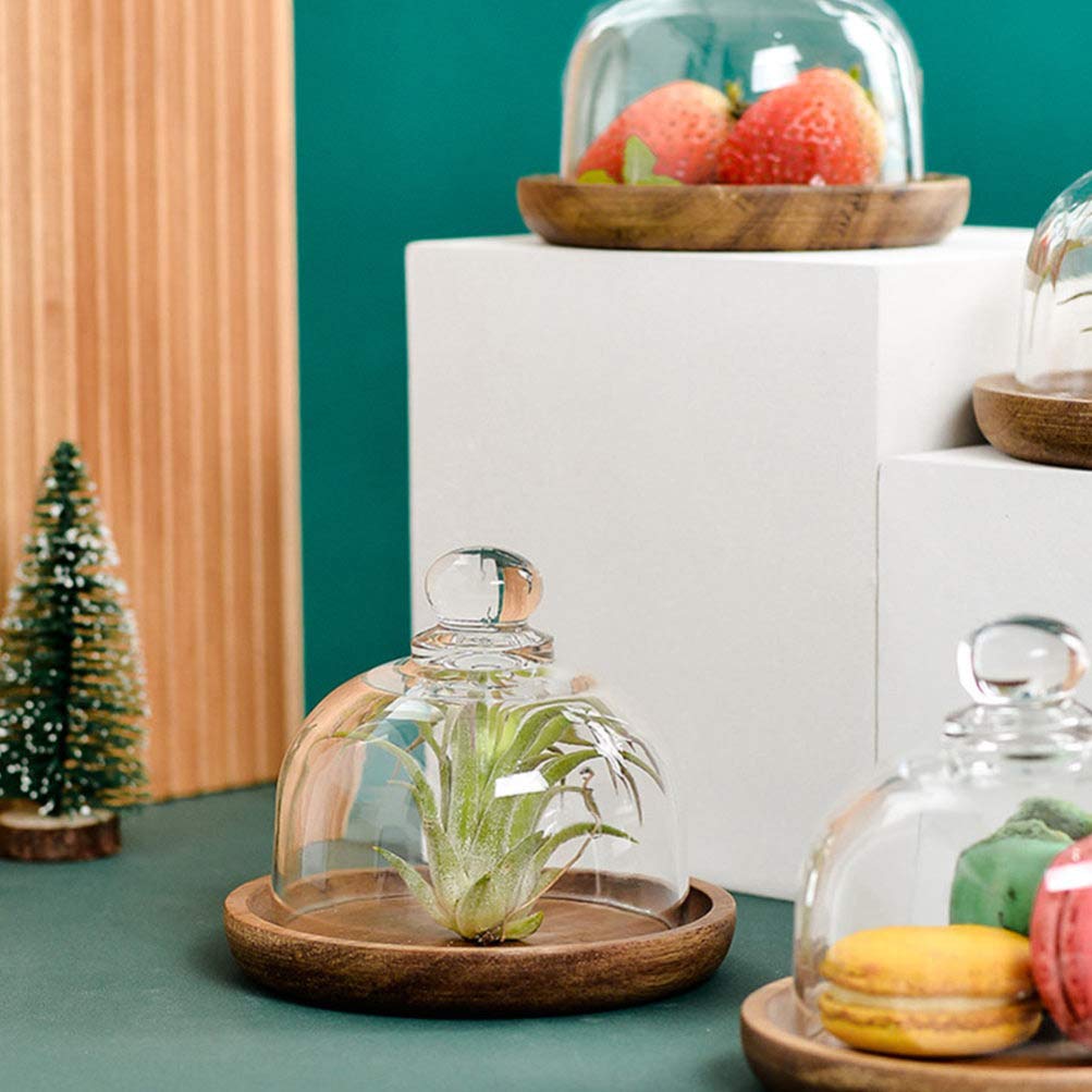2Pcs Clear Glass Cake Stand with Dome Cover - Round Cake Plate Server Platter with Wooden Base & Glass Bell Jar - Perfect for Birthday Parties, Weddings, and Dessert Displays