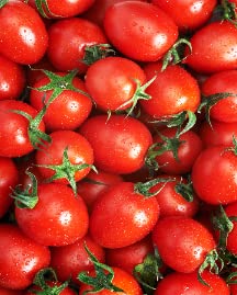 Tomatoes