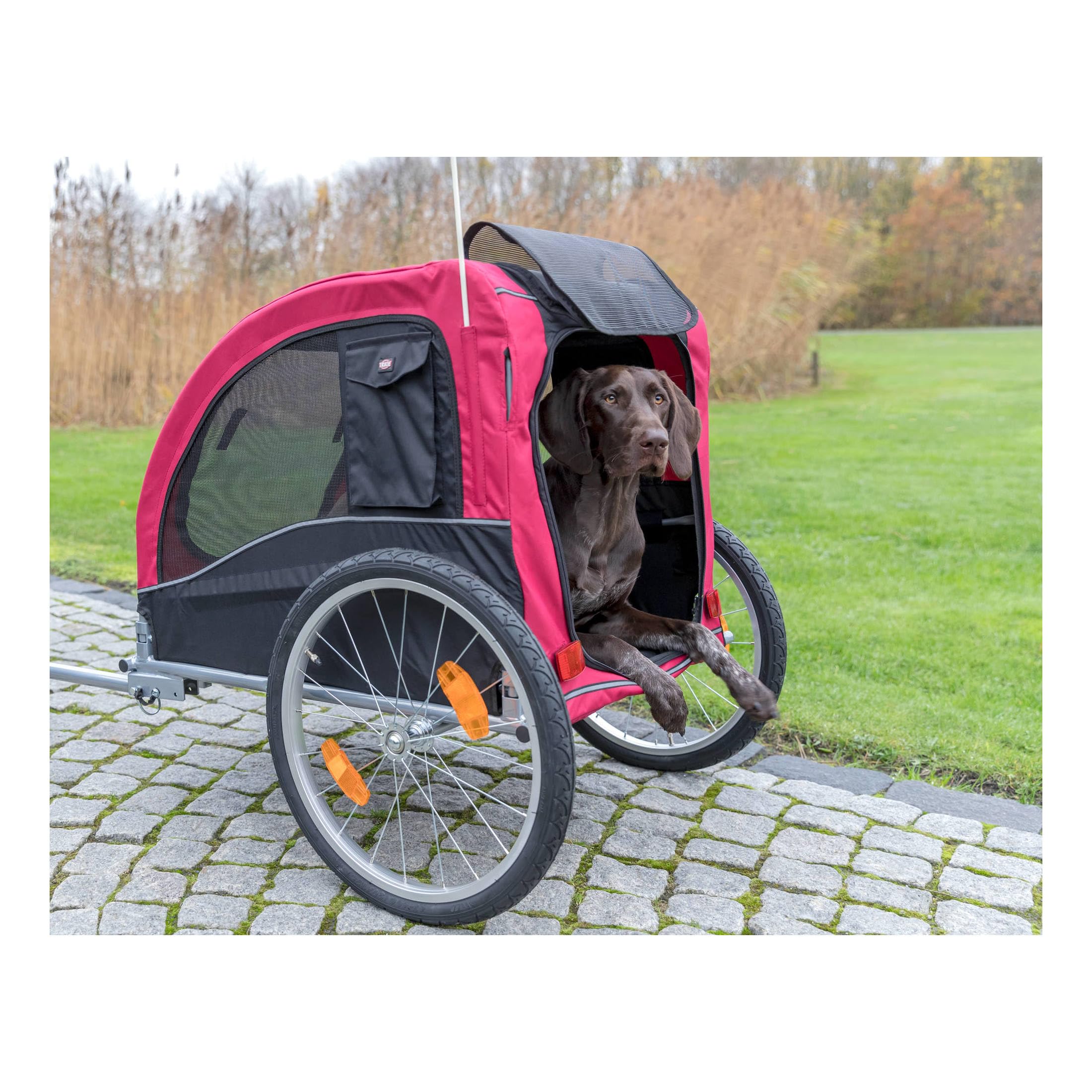 TRIXIE Convertible Dog Bike Trailer & Pet Stroller for Medium Dogs up to 66 lbs - Quick Setup Foldable Design - Red - Perfect for Cycling, Jogging & Outdoor Adventures with Your Pet