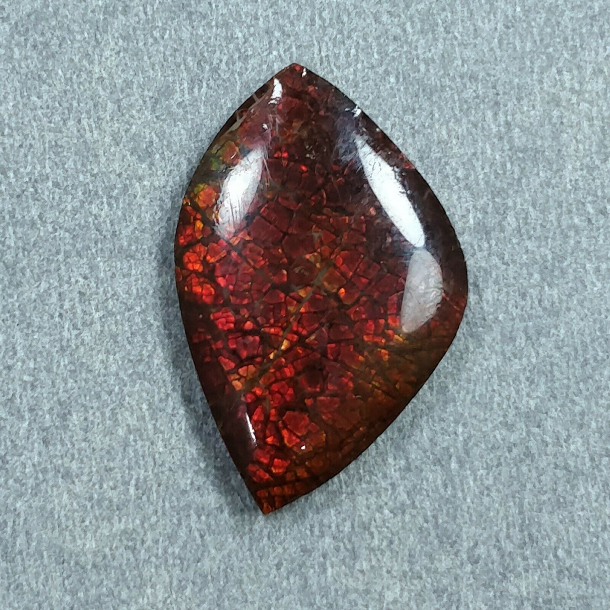 Natural AMMOLITE Gemstone Cabochon - Bi-Color Fossilized Shell, 23.5x15mm & 26x16mm, Handmade Jewelry Making, Unique Uneven Shape - Perfect for Rings, Pendants & DIY Craft Projects