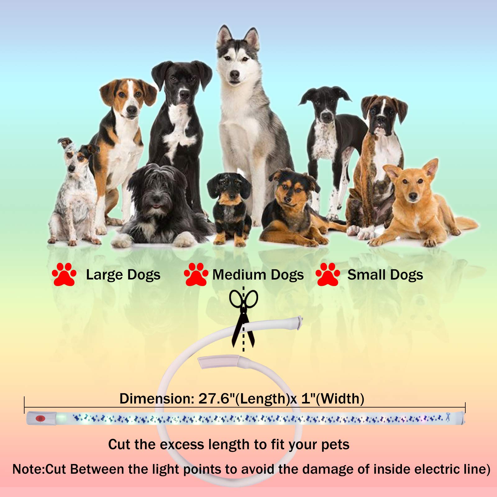 Glow in The Dark LED Dog Collar 2 Pack - USB-C Rechargeable RGB Light Up Dog Collars with Adjustable Length for Small Medium Large Dogs | Night Safety Reflective Collar for Walking Running Camping